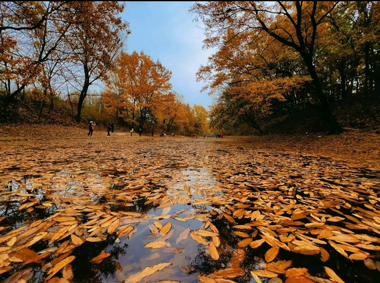 2-Day Huainan Tour: Explore Ba Gong Shan Geopark, Huainan's Historical Culture