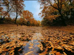 2-Day Huainan Tour: Explore Ba Gong Shan Geopark, Huainan's Historical Culture