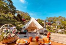 Green Fantasy Forest景点图片