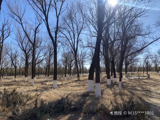 马莲滩沙漠公园