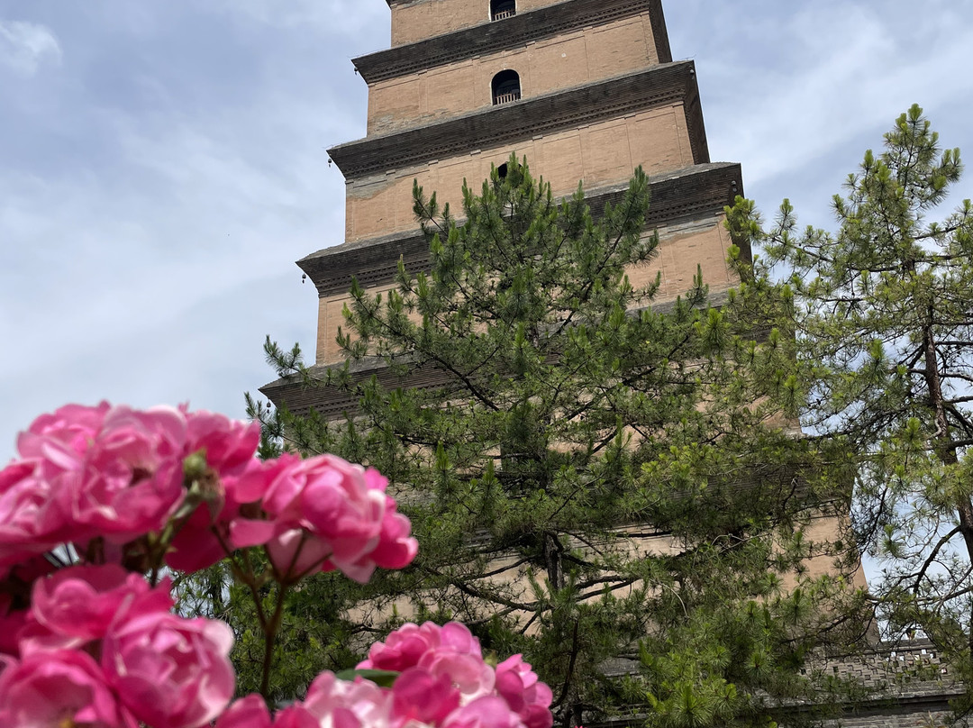 Alex's Epic Xian的一日游-西安市必去景点