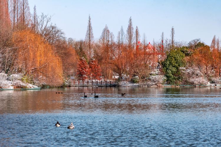 Shanghai Wild Animal Park