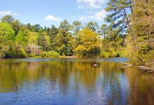 Chattahoochee Nature Center景点图片