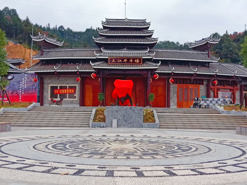 三江斗牛场-《牛战三江》