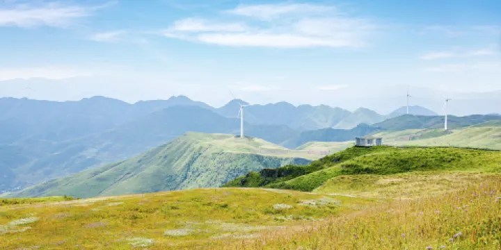 阿西里西韭菜坪