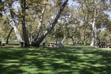 Glendale Park-尤宁-Laird_Torrance