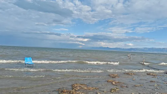 博斯騰湖國家級風景名勝區-蘆花港