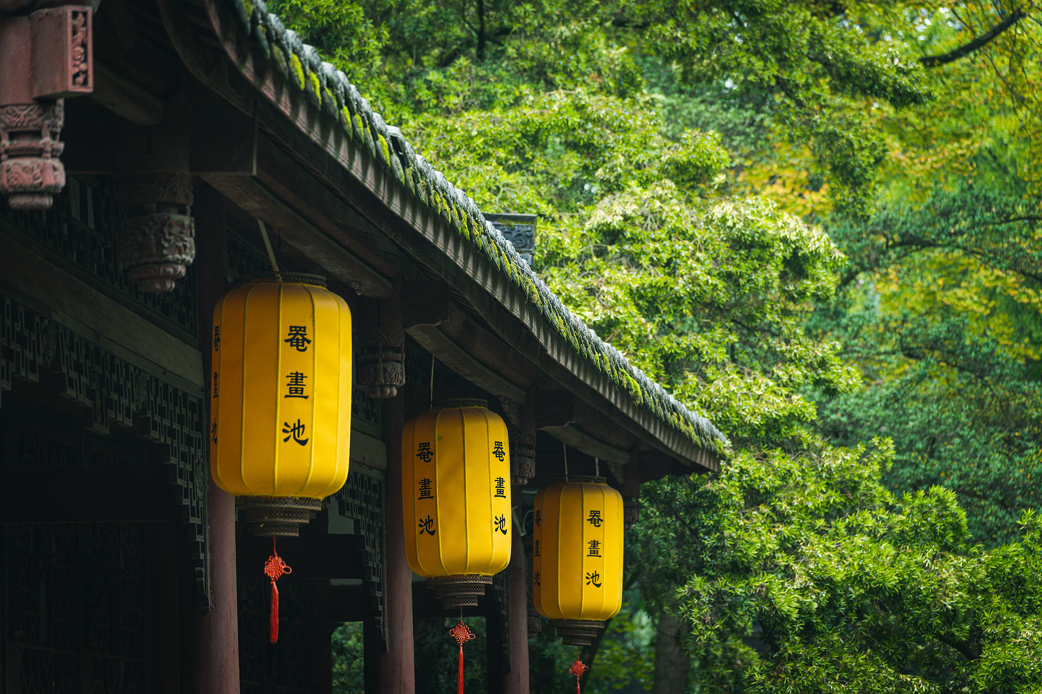 2-Day Dayi Tour: Anren Ancient Town's historical charm, Mount Qingcheng's natural beauty