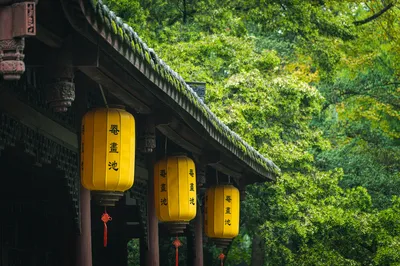 罨画池