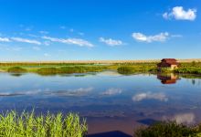 克拉玛依湖湿地景点图片