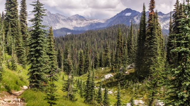 7-Day Canadian Rockies Adventure from Vancouver·VIA Rail train tour | Kamloops, Jasper, Banff, Johnston Canyon, Lake Louise and Revelstoke / Salmon Arm