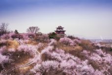 北京园博园-北京