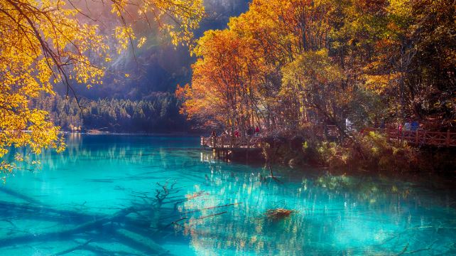 3-Day Sichuan Private Tour from Chengdu· Chengdu Research Base of Giant Panda, Jiuzhaigou, Huanglong Scenic Area