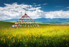 桑科草原景点图片