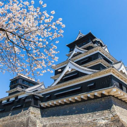 福冈+熊本市+鹿儿岛市+雾岛市+指宿市+高千穗町+日南市+阿苏市5日4晚私家团