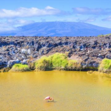 伊莎贝拉岛图片