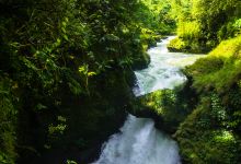 大卫瀑布景点图片