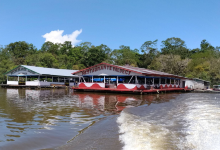 Parque Ecologico Janauari景点图片