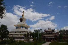 青海贵德黄河清国家湿地公园-贵德-把剑长歌