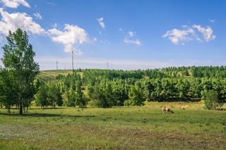 去张北草原一定要吃蓝茵山庄美食，食材全部自产，真正的绿色健康