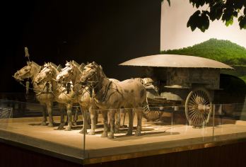 西安秦始皇帝陵博物院+华清宫一日游【上门接送/赠送矿泉水】【[司机兼向导]当地车导，熟悉陕西各大景区】