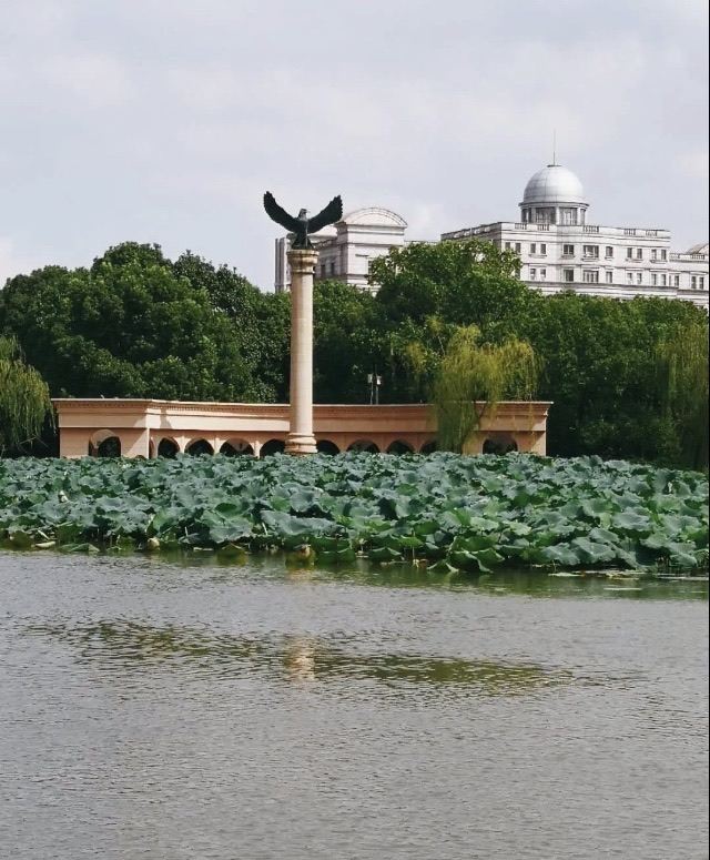 思贤公园旅行图片 3