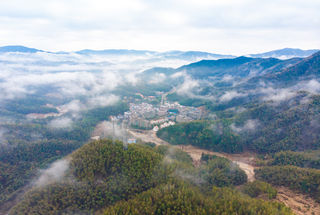 三月湾里，赴一场诗与酒的春游