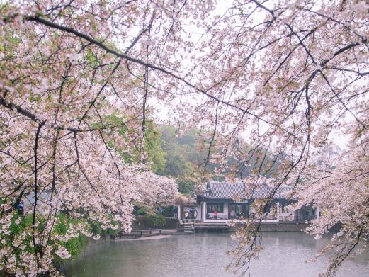 太湖鼋头渚风景区-太湖佳绝处