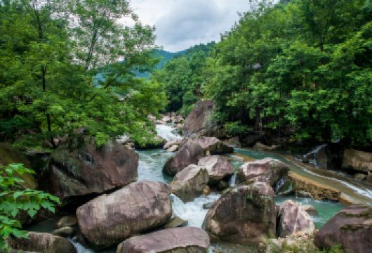 望仙谷半日游+夜游【婺源往返  天天发班】【专业优秀导游陪同】