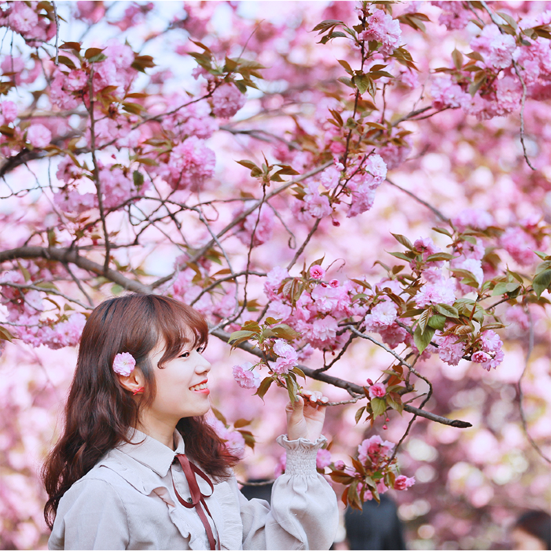 🌟2021韓國全羅北道宣傳王【完山公園】🌟。