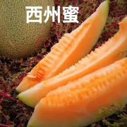 图片 4
