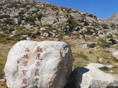 贺兰游记图片] 贺兰山岩画（转发）