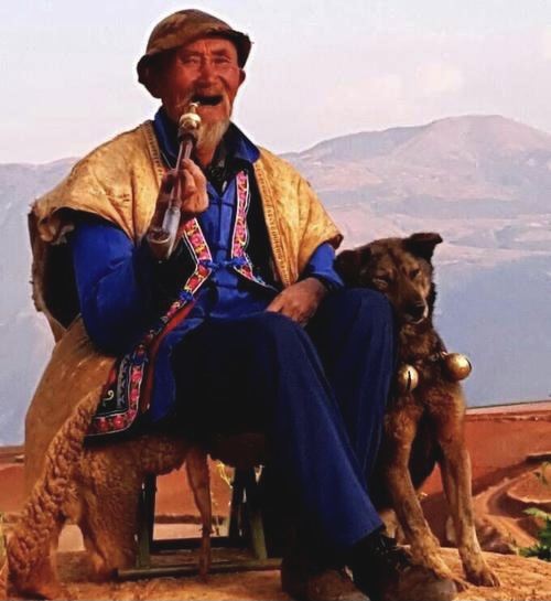 乐谱凹旅行图片 4