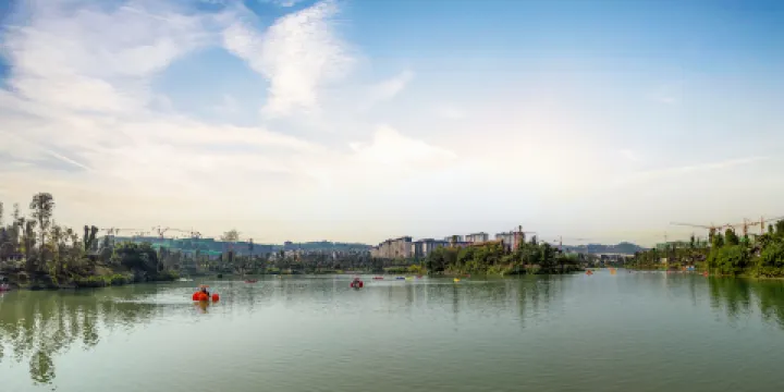 楓香湖小童公園