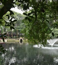 新繁街道游记图文-金秋四川行之四—唐代园林新繁东湖