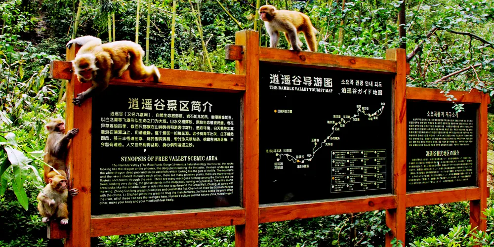 永安旅遊