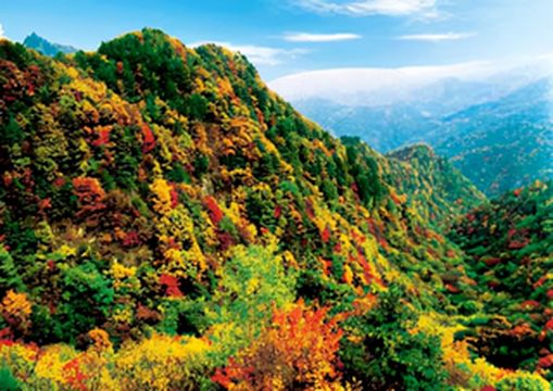 河南旅游:百车自驾嵩县白云山(图)