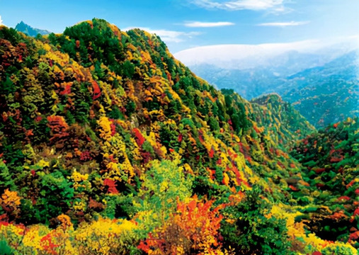 河南旅游:百车自驾嵩县白云山(图)