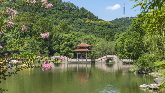 峙山公園