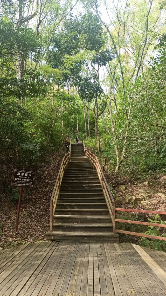 海南热带雨林国家公园五指山景区旅行图片 2
