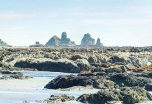 Motukiekie Beach Walk景点图片