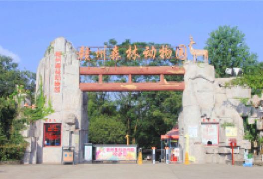 赣州森林动物园景点图片