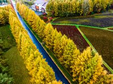 吉林龙湾景区-辉南