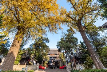 南京出发：扬州个园+瘦西湖+扬州八怪+东关街一日游【私家团】【私家小团丨小众玩法丨纯玩无购丨独立包车丨行程可调丨随停随走丨时间自由丨上门接送】