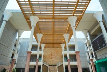 【金牌说】海南省博物馆讲解 3H 大咖讲师 独立/8人小团【[金牌导游讲师团]他们博古通今，幽默睿智，善于挖掘文物背后的故事，用有趣的方式还原历史真相；】