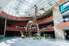 河源恐龙博物馆-河源