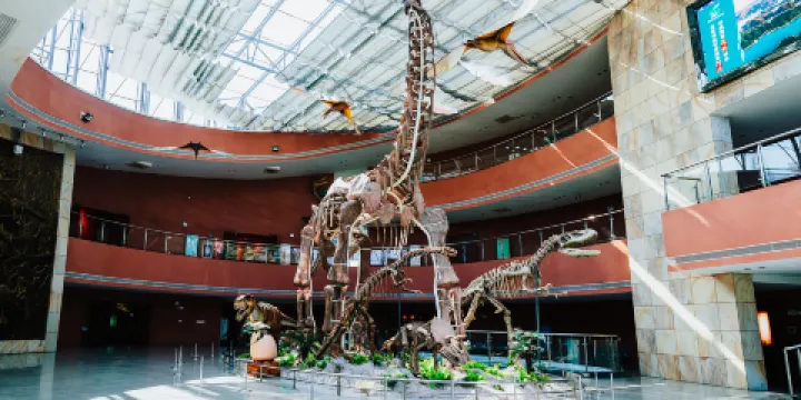 河源恐龍博物館