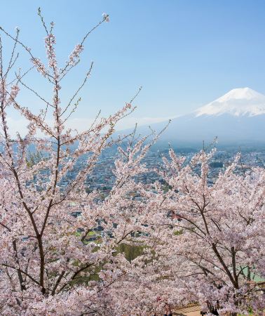 5日4晚 • 日本東京+富士山+河口湖