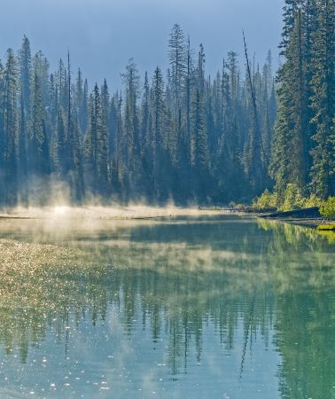 5D4N • Banff National Park + Yoho National Park + Jasper National Park + Calgary, Canada
