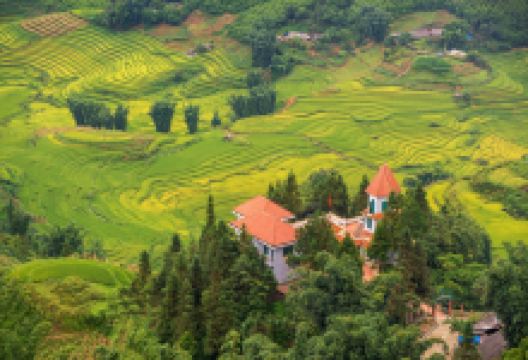 猫猫村景点图片